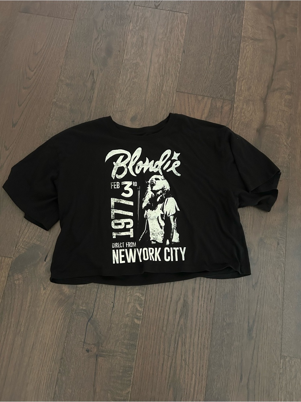 Blondie Graphic Crop Tee - Cropped Band Tee XL
